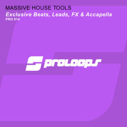 FX Massive 128 (Tool 7)