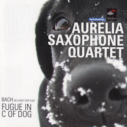 Fifteen New Fugues: De Meesterfout