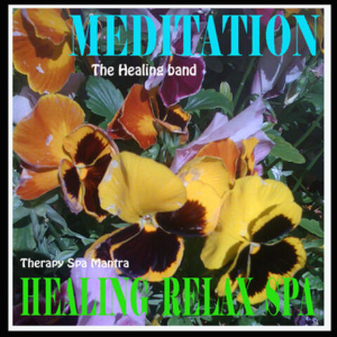 Healing Meditation Therapy Relaxation Spa Mantra