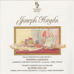 Cello Concerto in D Major No. 2, Hob. VIIb:2, Op. 101: I. Allegro moderato