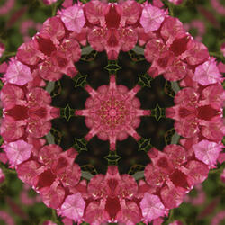 Tibetan Singing Bowls - D# Sacral Chakra - Relaxation and Meditation