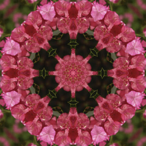 Good Morning Meditation (6hz, 8hz,10hz Binaural Beats for Brainwave Entrainment & Relaxation)