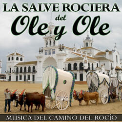 Toque del Rocío