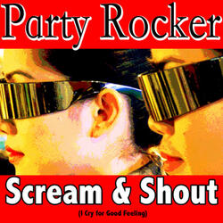 Sorry for Party Rocking