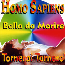 Tornerai tornerò