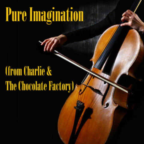 Pure Imagination (from Charlie & The Chocolate Factory)
