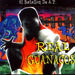 Real Guanacos