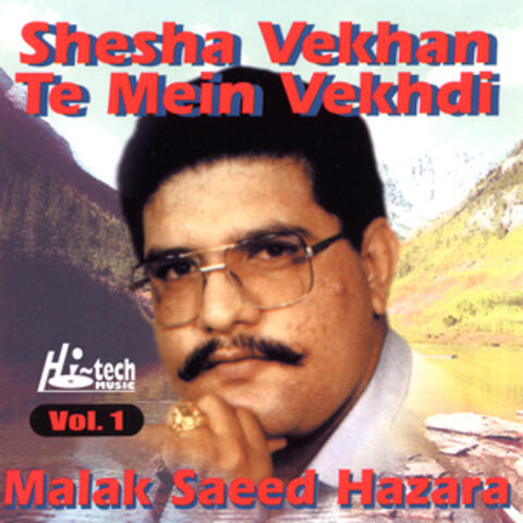 Shesha Vekhan Te Mein Vekhdi Vol. 1 (Mahiye)