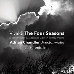 Concerto for Violin 'in tromba marina', Strings & Continuo in D Major, RV 221: I. Allegro