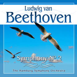 Symphony No.2 in D Major, Op.36: Scherzo: Allegro