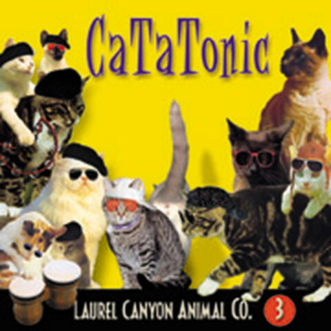 Cat-A-Tonic