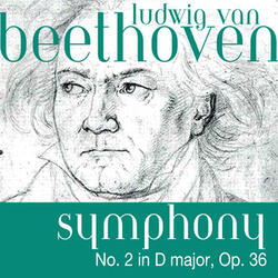 Symphony No. 2 in D major, Op. 36, Scherzo (Allegro)