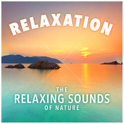 On the Crest of a Wave (New Age) [Nature]