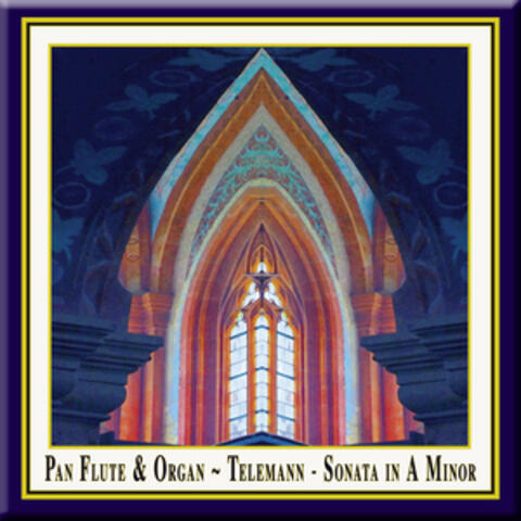 Pan Flute & Organ - Telemann: Sonata in A Minor (Originally composed for Oboe & Basso Continuo)