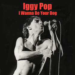 I Wanna Be Your Dog (Acoustic Version)