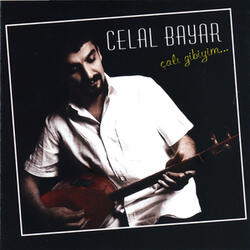 Bir Yaban Gülüyle Geç Arasıra