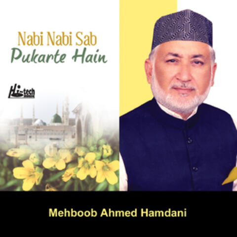 Nabi Nabi Sab Pukarte Hain - Islamic Naats