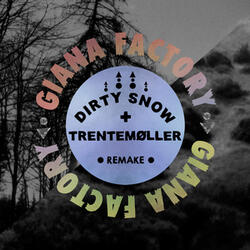 Dirty Snow (Trentemøller Remake)