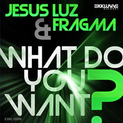 What Do You Want (David Amo & Julio Navas Remix Vs. DJ Falk Edit)