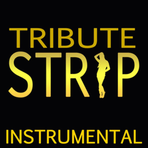 Strip (Chris Brown feat. Kevin K-MAC McCall Instrumental Tribute)