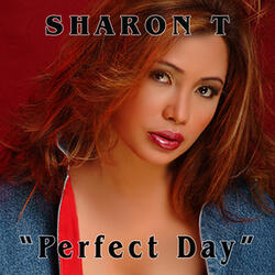 Perfect Day (Original Radio Mix)