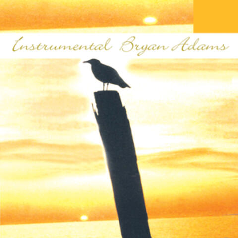 Instrumental Tribute To Bryan Adams