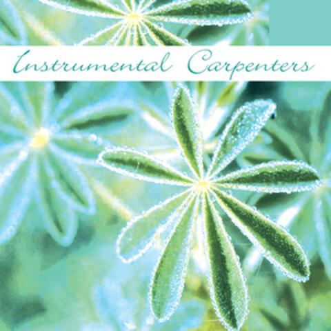 Instrumental Tribute To The Carpenters