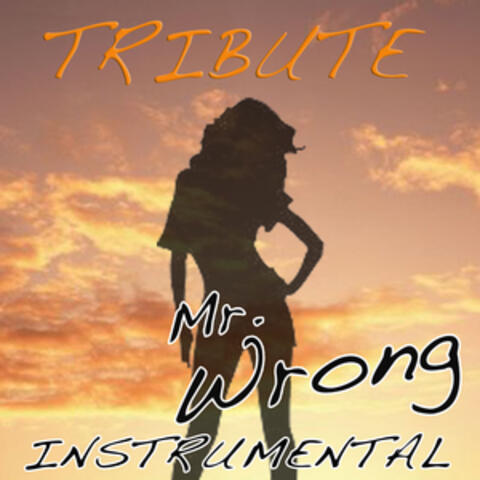 Mr. Wrong (Mary J. Blige feat. Drake Instrumental Tribute)