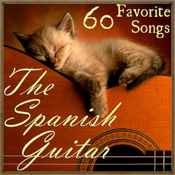 Lady in Red (Spanish Guitar Version)