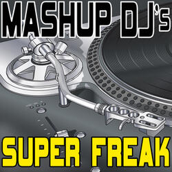 Super Freak (Original Radio Mix) [Re-Mix Tool]