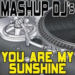 You Are My Sunshine (Original Radio Mix) [Re-Mix Tool]