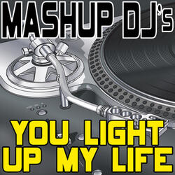 You Light Up My Life (Original Radio Mix) [Re-Mix Tool]