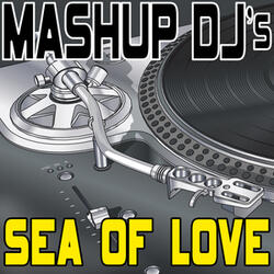 Sea Of Love (Original Radio Mix) [Re-Mix Tool]