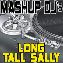 Long Tall Sally (Original Radio Mix) [Re-Mix Tool]