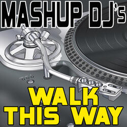 Walk This Way (Original Radio Mix) [Re-Mix Tool]
