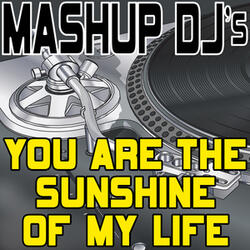 You Are The Sunshine Of My Life (Original Radio Mix) [Re-Mix Tool]