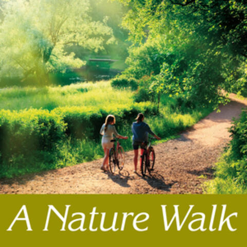 A nature walk