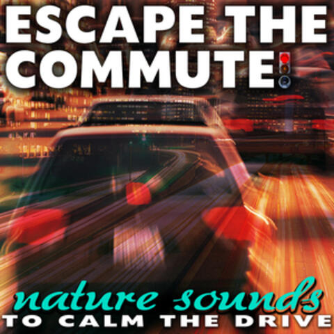 Escape the Commute! Nature Sounds to Calm the Drive