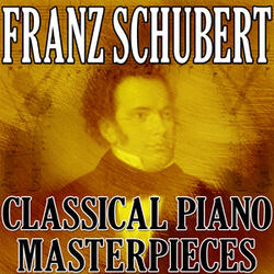 Sonata No. 14 in A minor, D. 784, Op. 143, II. Andante