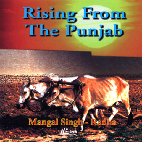 Rising From The Punjab