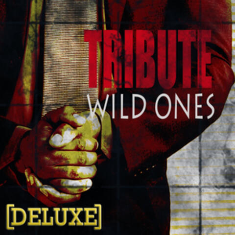 Wild Ones (Flo Rida feat. Sia Deluxe Tribute)