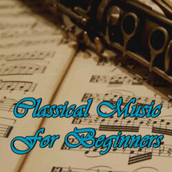 Nocturne No. 20 in C-Sharp Minor, Op. Posth.