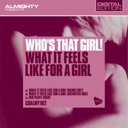 What It Feels Like For A Girl (Definitive Mix)