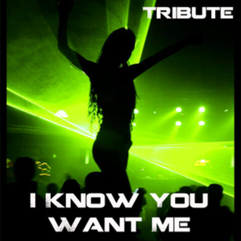 I Know You Want Me (Tribute to Pitbull)
