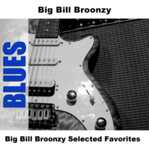 Big Bill Broonzy Selected Favorites