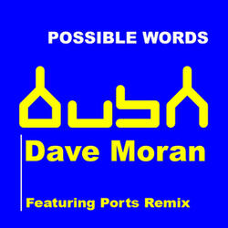 Possible Worlds (Ports Remix)