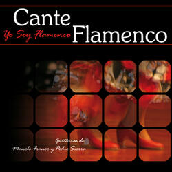 Yo Soy Flamenco - Tangos