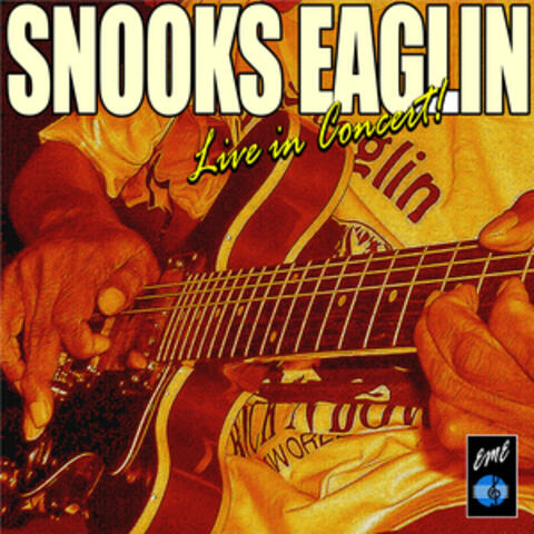 The Snooks Eaglin Live in Concert