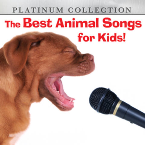 The Best Animal Songs for Kids!