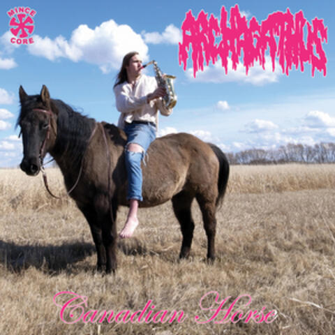 Canadian Horse